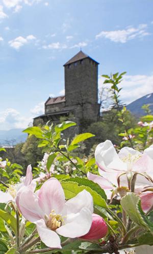 Urlaub in Südtirol