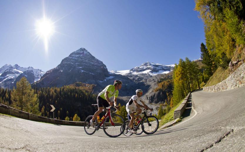 Bici da corsa in Alto Adige