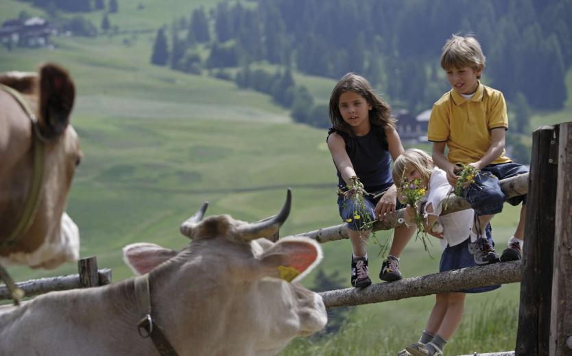 Family holiday in South Tyrol