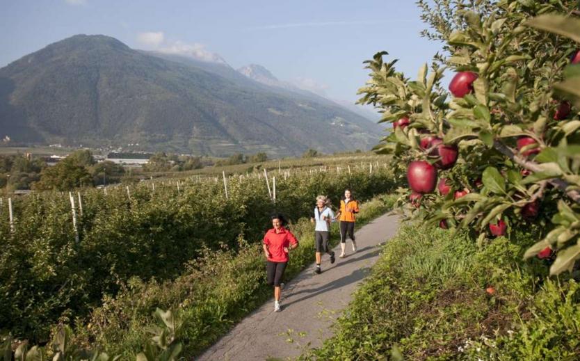 Le jogging au Tyrol du Sud