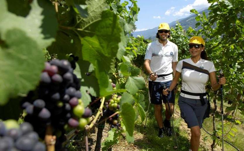 Les vacances d'été au Tyrol du Sud