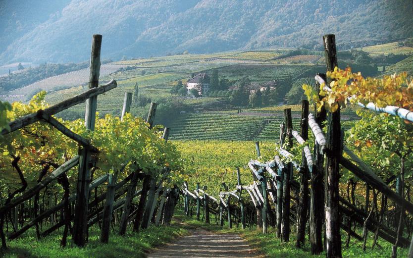 Beau temps garanti pour vos vacances dans le Tyrol du Sud