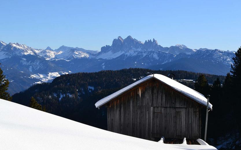 Le ski au Tyrol du Sud