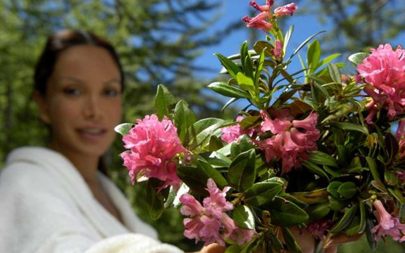 Produits cosmétiques du Tyrol du Sud: Gamme de produits  cosmétiques BERG