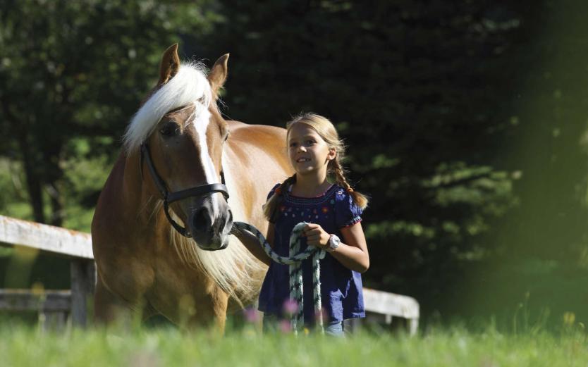 Reiten in Südtirol