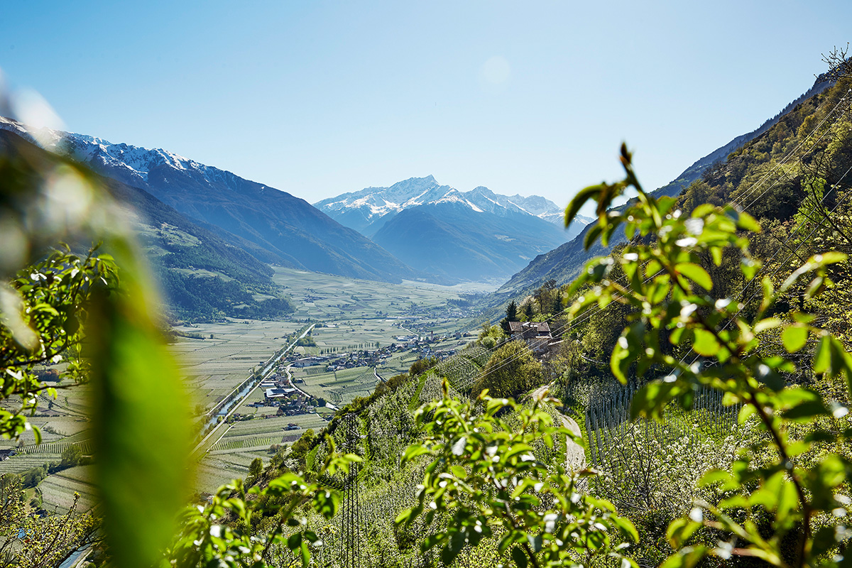 Lage der DolceVita Hotels im Vinschgau